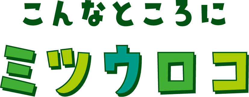 こんなところにミツウロコ