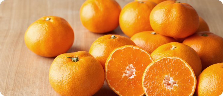 静岡みかんストレート100%ジュース